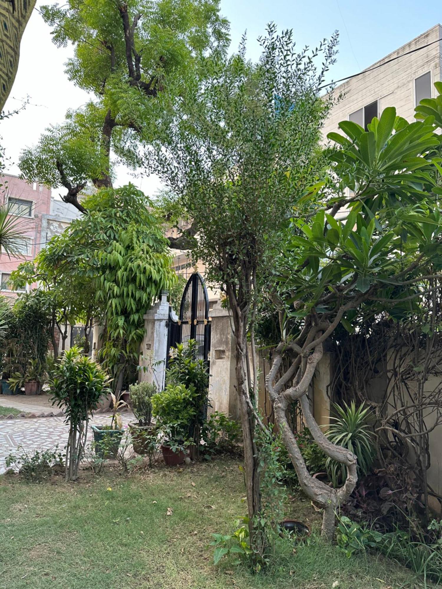 Hotel Jwala Niketan Divisione di Jaipur Esterno foto